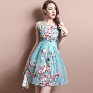 Lovely Woman Party Dress